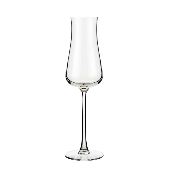 Stratford Champagne Flute Set of 4