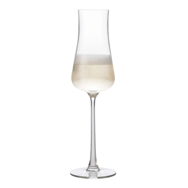 Stratford Champagne Flute Set of 4