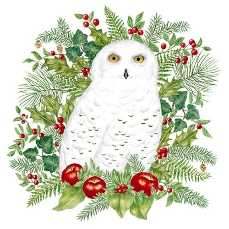 Owl Flour Sack Towel