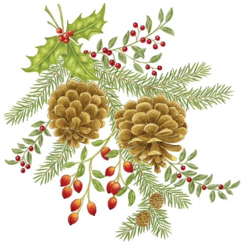 Pinecones Flour Sack Towel