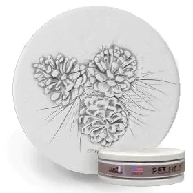 Pinecone Coasters Set of 4