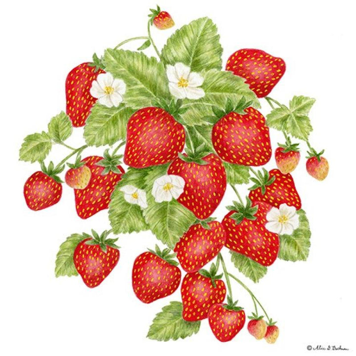 Strawberry Kitchen Towel